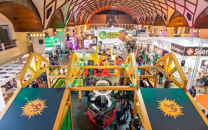 Cannafest 2016