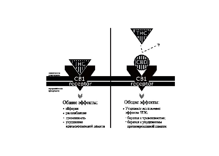 КБД vs ТГК