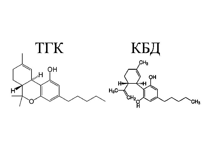 КБД и ТГК: что это и в чем разница?