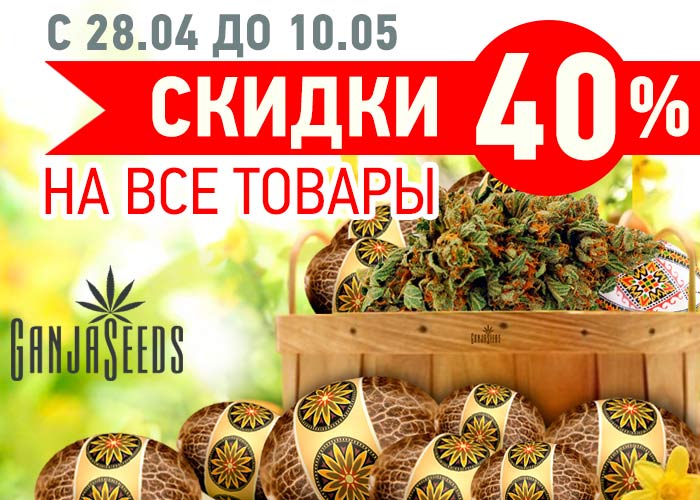 Пасхальные скидки на семена конопли уже в действии!