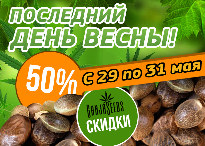 Финальная весенняя акция GanjaSeeds