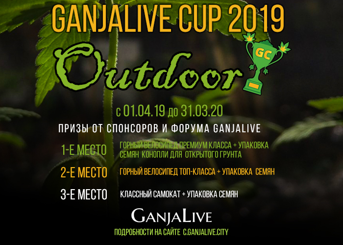 Конкурс гроурепортов от GanjaLive!