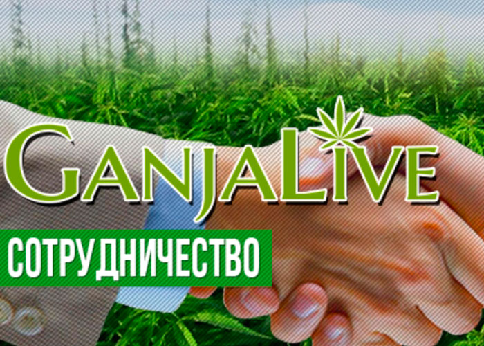 Портал GanjaLive предлагает сотрудничество!