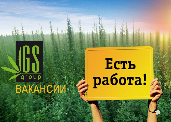 GanjaSeedsGroup