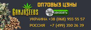 https://z.gs-seeds.net/?utm_source=slider_ganja-expert_opt&utm_medium=baner_350x350&utm_campaign=defauilt_ganja-expert_sidebar